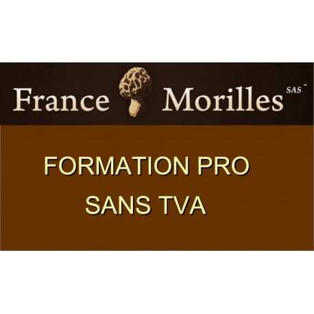 Formation Pro SANS TVA