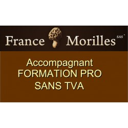 Accompagnant Formation Pro SANS TVA