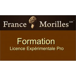 Formation Pro